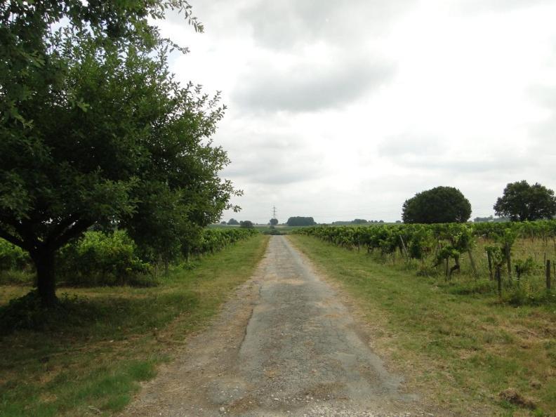 Chateau Monichot Organic Vineyard Tauriac  Buitenkant foto