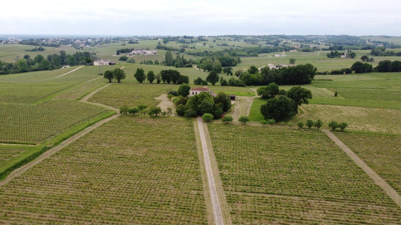 Chateau Monichot Organic Vineyard Tauriac  Buitenkant foto